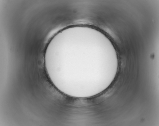 X0000089851358200707262059