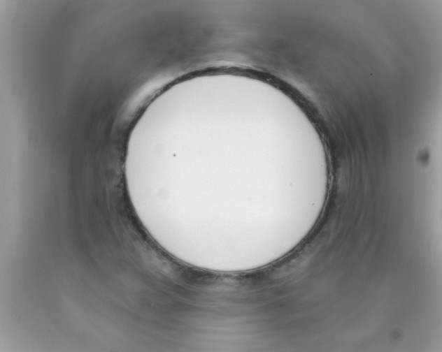 X0000089851359200707262059