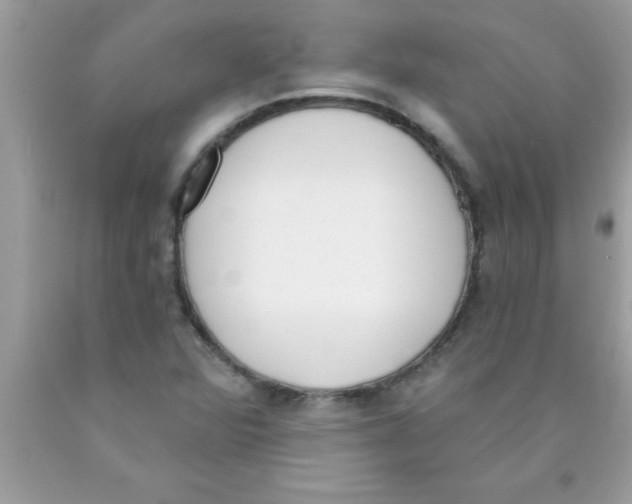 X0000089851360200707262059