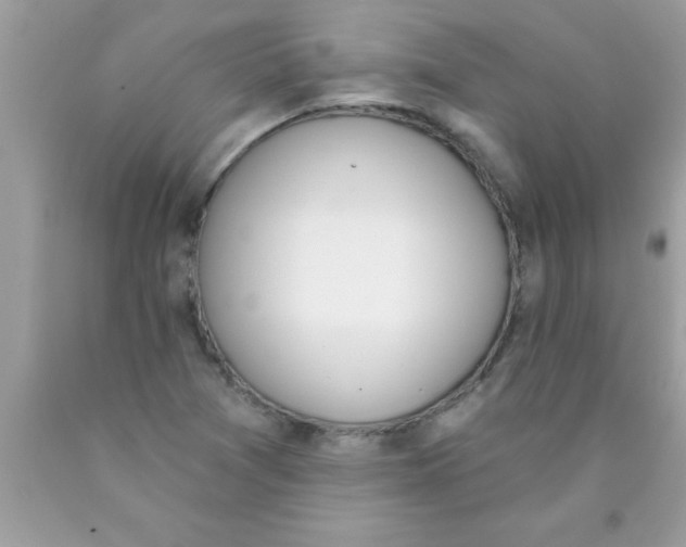 X0000089851361200707262059