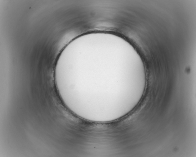 X0000089851362200707262059