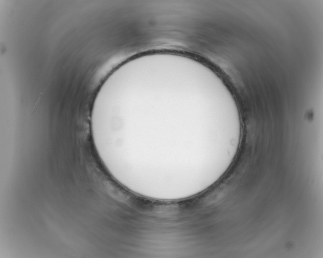 X0000089851363200707262059