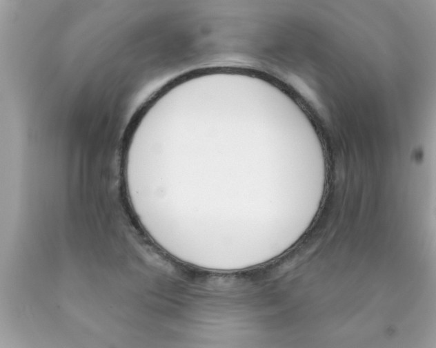 X0000089851364200707262059