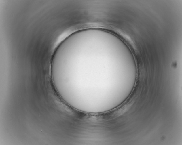 X0000089851365200707262059