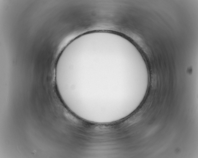 X0000089851366200707262059