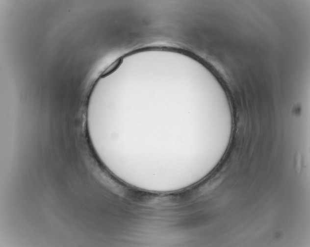 X0000089851367200707262059