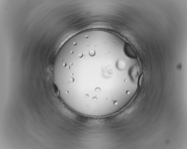 X0000089851369200707262059