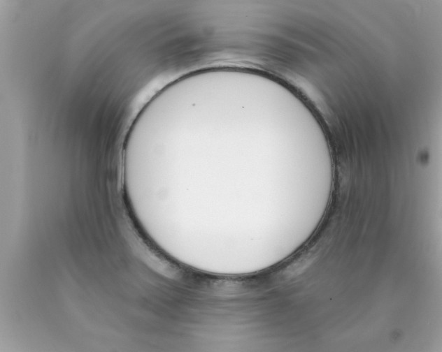 X0000089851371200707262059