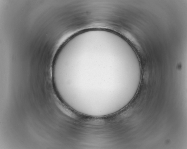 X0000089851372200707262059