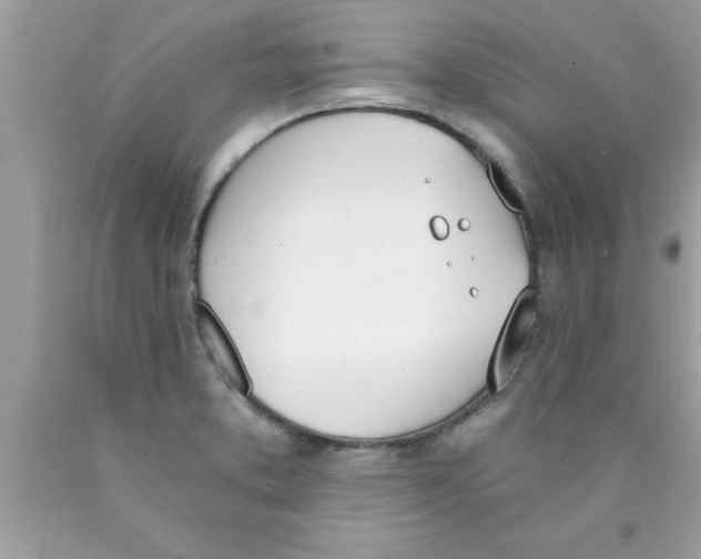 X0000089851373200707262059