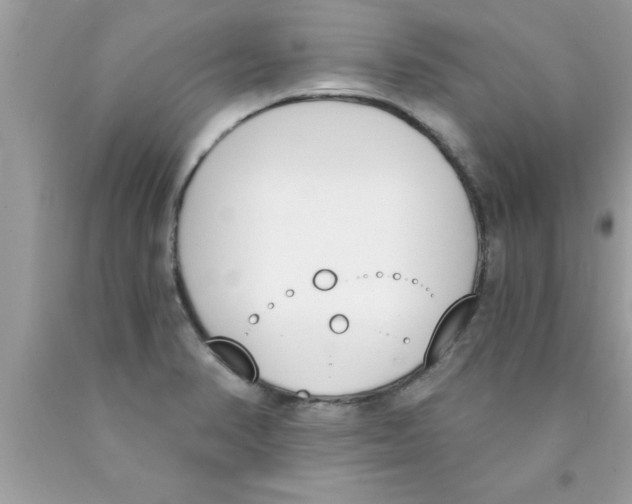 X0000089851374200707262059