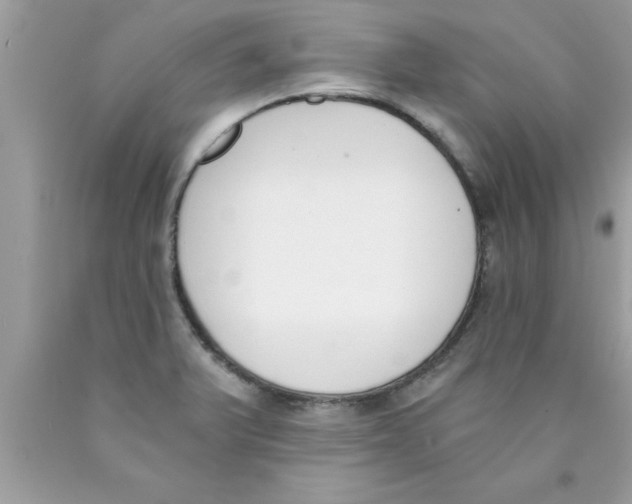 X0000089851375200707262059