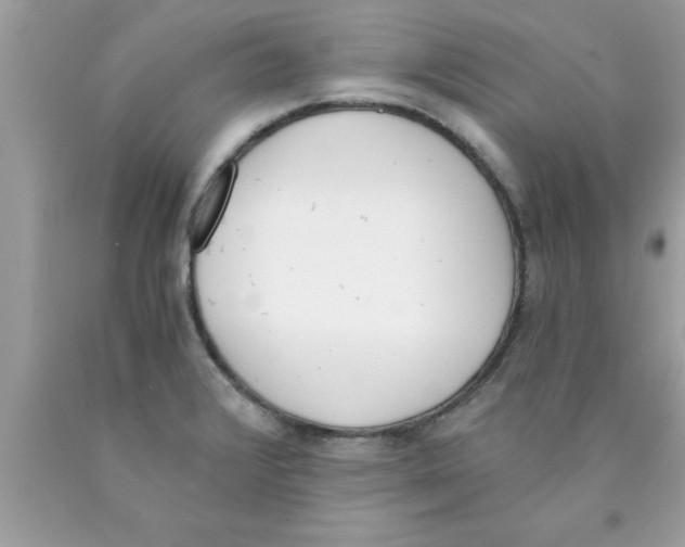 X0000089851376200707262059