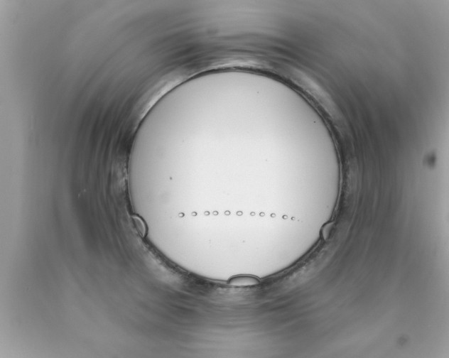 X0000089851377200707262059