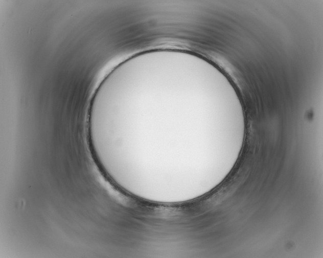 X0000089851379200707262059