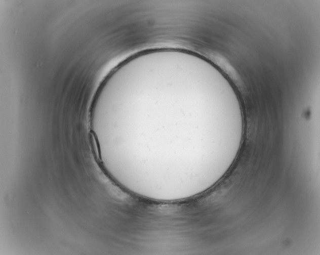 X0000089851380200707262059