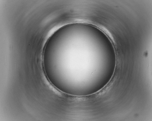 X0000089851381200707262059