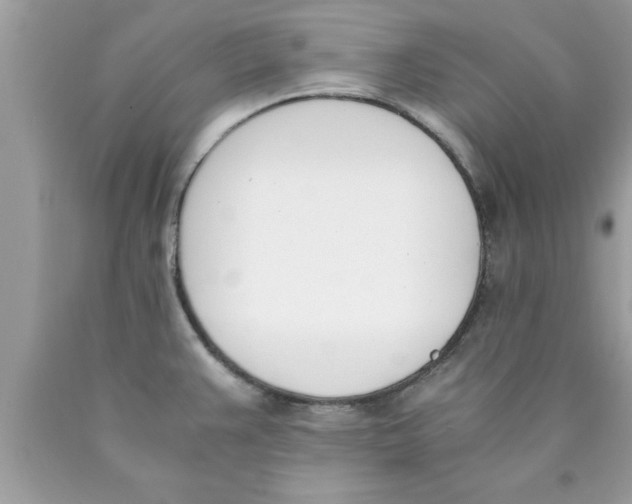 X0000089851383200707262059