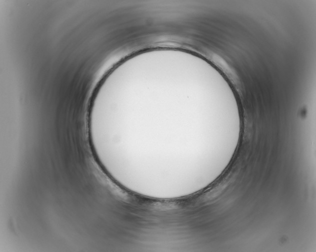 X0000089851384200707262059