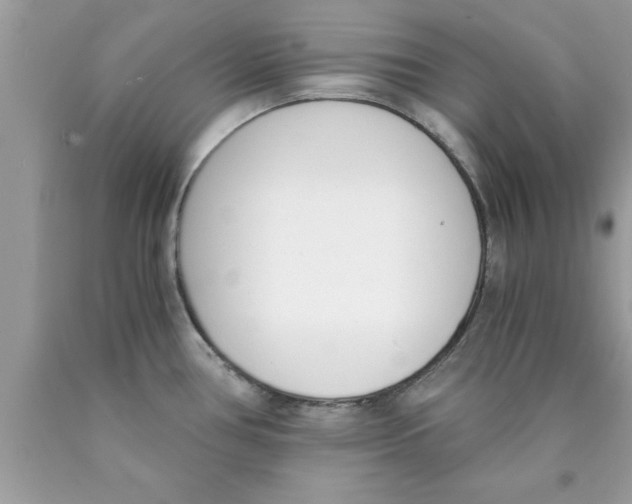 X0000089851386200707262059