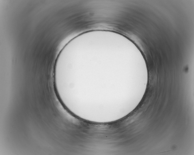 X0000089851387200707262059