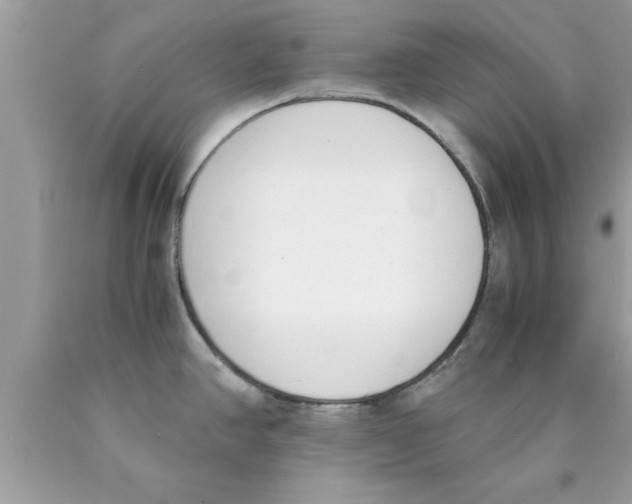 X0000089851390200707262059