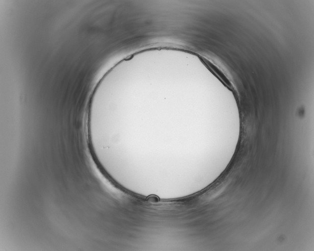 X0000089851391200707262059