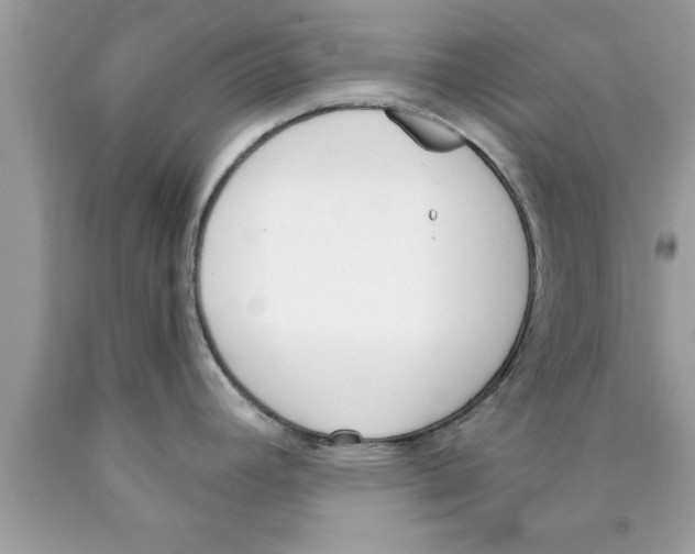 X0000089851392200707262059