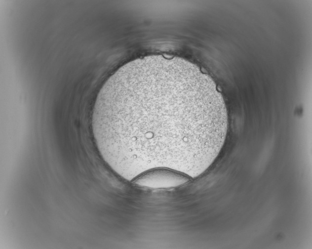 X0000089851393200707262058