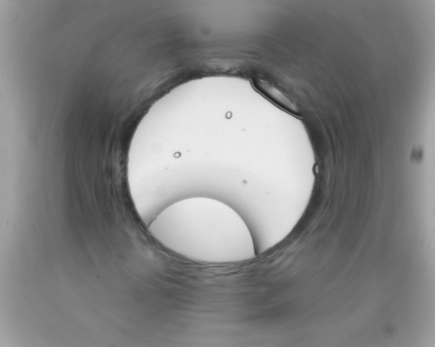 X0000089851394200707262058