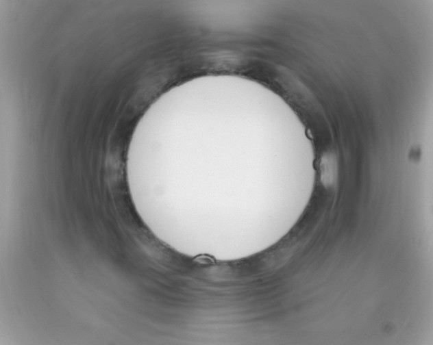 X0000089851395200707262058