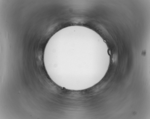 X0000089851396200707262058