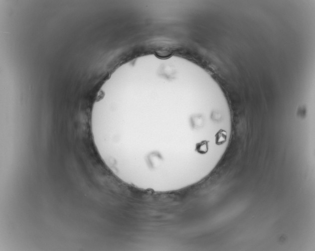 X0000089851397200707262058