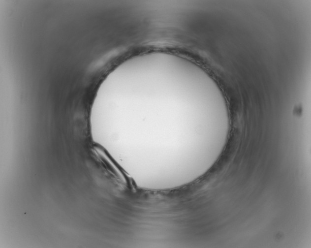 X0000089851398200707262058