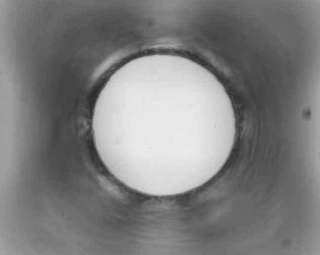 X0000089851400200707262058