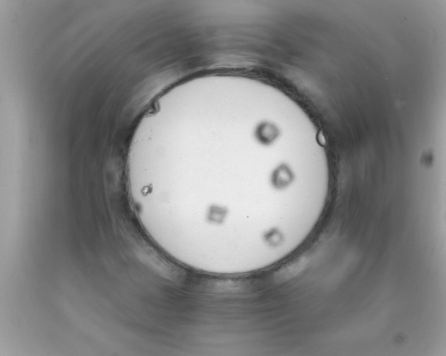 X0000089851401200707262058