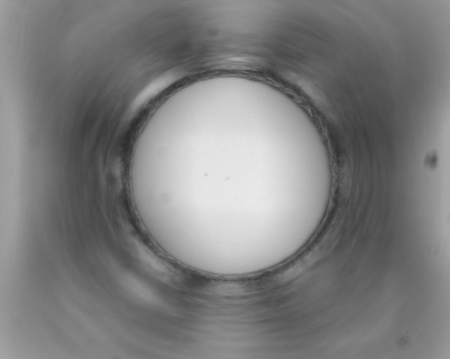 X0000089851402200707262058