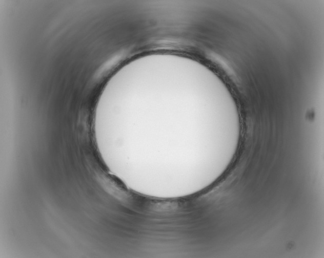 X0000089851403200707262058