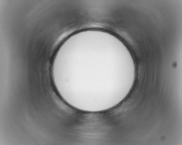 X0000089851404200707262058