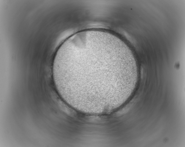 X0000089851405200707262058