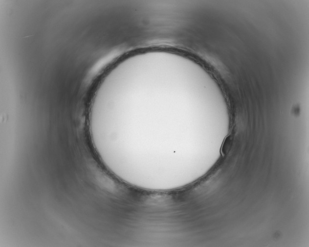 X0000089851406200707262058