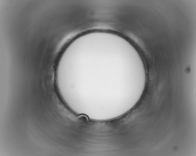 X0000089851408200707262058