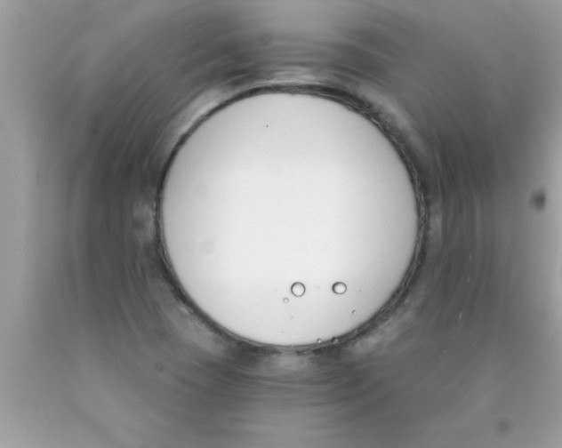 X0000089851409200707262058