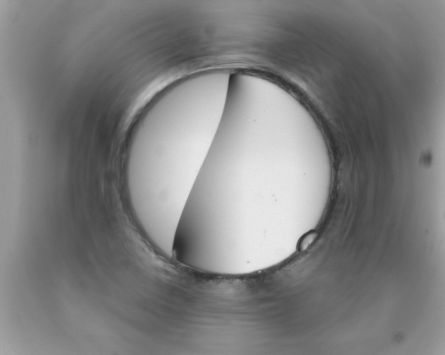 X0000089851410200707262058