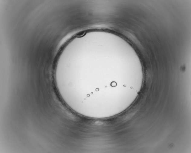 X0000089851412200707262058