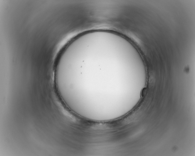 X0000089851414200707262058