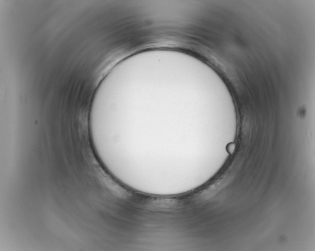 X0000089851417200707262058