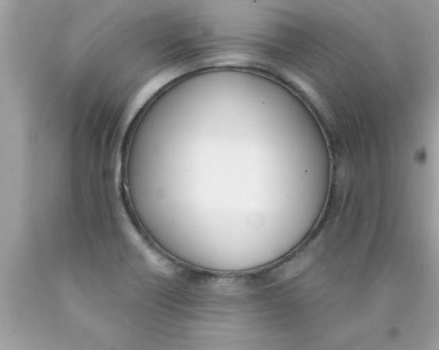 X0000089851418200707262058