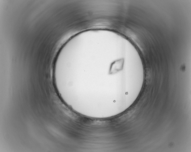 X0000089851419200707262058