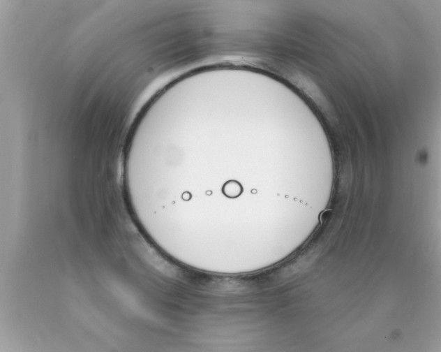 X0000089851420200707262058